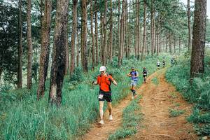 BIB: 
                            <button type="button" onclick="openModal(25661340)" class="btn btn-primary btn-sm float-right btn-popup" data-toggle="modal" data-target=".modal-high-quality">
                        <i class="fas fa-shopping-cart"></i> Add to Cart
                    </button>
                                            <button type="button" onclick="isThisMe(25661340, true)" class="btn btn-success btn-sm float-right btn-popup btn-isme hidden" data-toggle="tooltip" data-placement="bottom" title="นี่คือรูปของคุณใช่ไหม คลิกที่นี่เพื่อเอาเข้าอัลบั้ม">
                        <i class="fas fa-plus"></i> Add to album
                    </button>
                    <button type="button" onclick="isThisMe(25661340, false)" class="btn btn-warning btn-sm float-right btn-popup btn-isnotme hidden">
                        <i class="fas fa-ban"></i> Remove from album
                    </button>